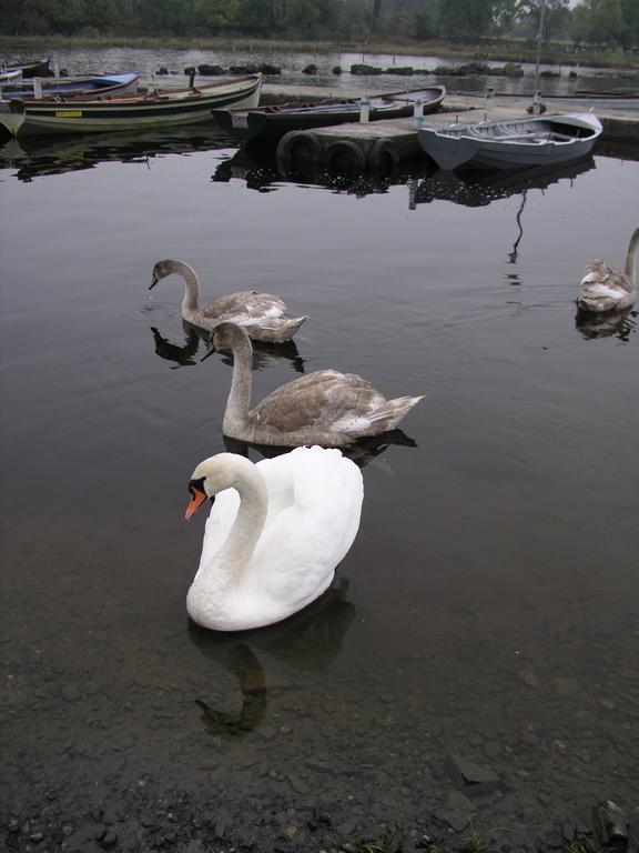 Lakeland Midsummer Lakehouse Oughterard Extérieur photo